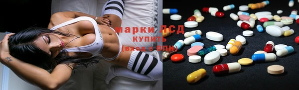 PSILOCYBIN Зеленодольск