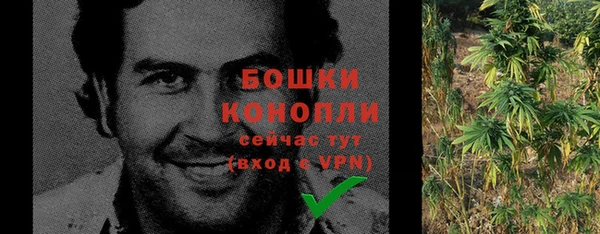 PSILOCYBIN Зеленодольск