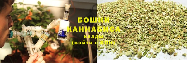 молекула духа Заводоуковск