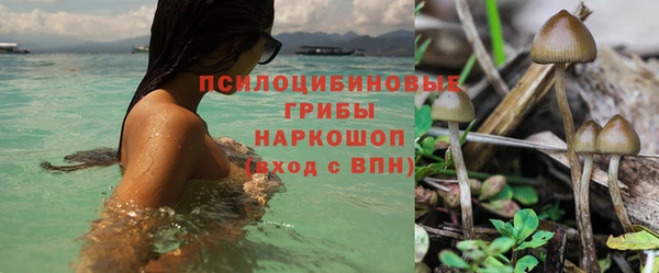 стафф Заволжье