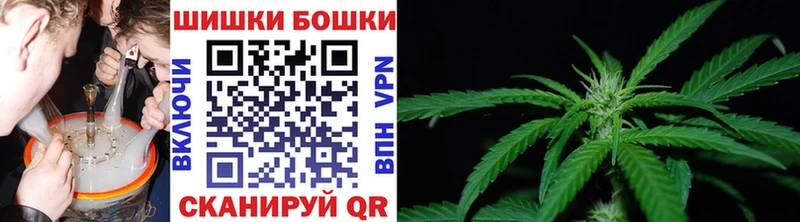 Купить  Ахтубинск  Канабис семена 