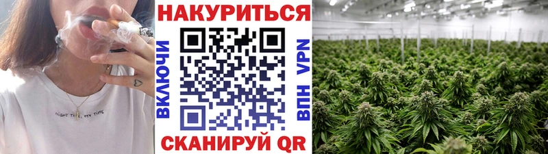 Бошки Шишки SATIVA & INDICA Ахтубинск